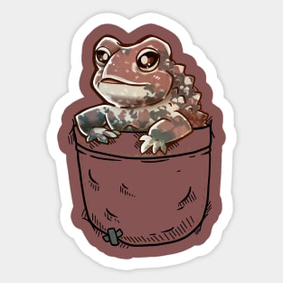 Pocket Cute American Toad Sticker